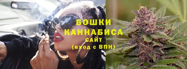 СК Зерноград
