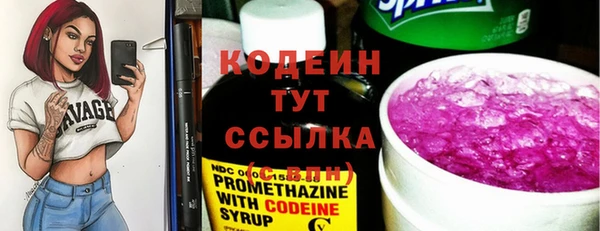 хмурый Иннополис