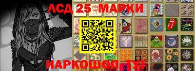 индика Ярославль