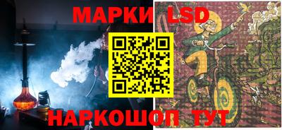 индика Ярославль