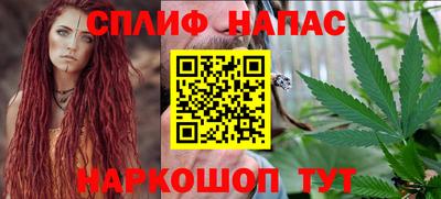 индика Ярославль