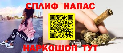 индика Ярославль