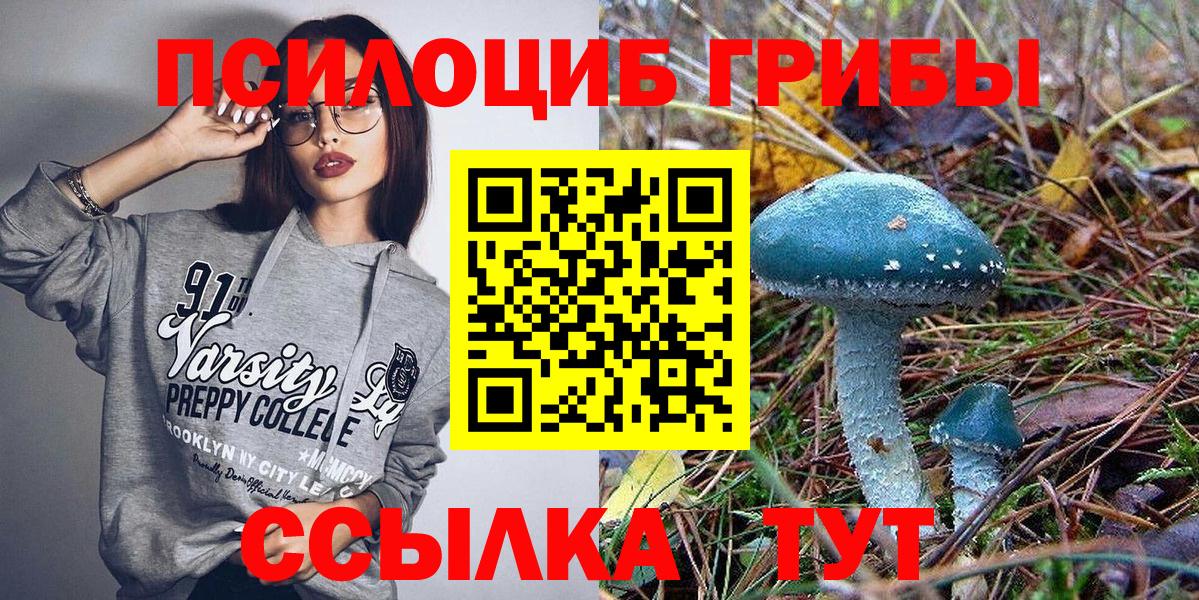 Псилоцибиновые грибы Psilocybe Ангарск