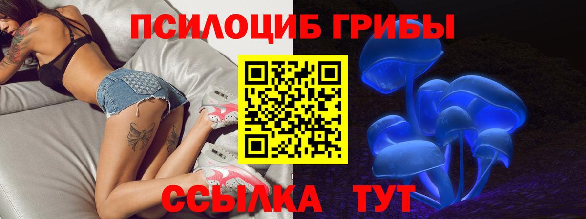 Ангарск  Псилоцибиновые грибы GOLDEN TEACHER  где купить   Вход с VPN  Галлюциногенные грибы Cubensis 